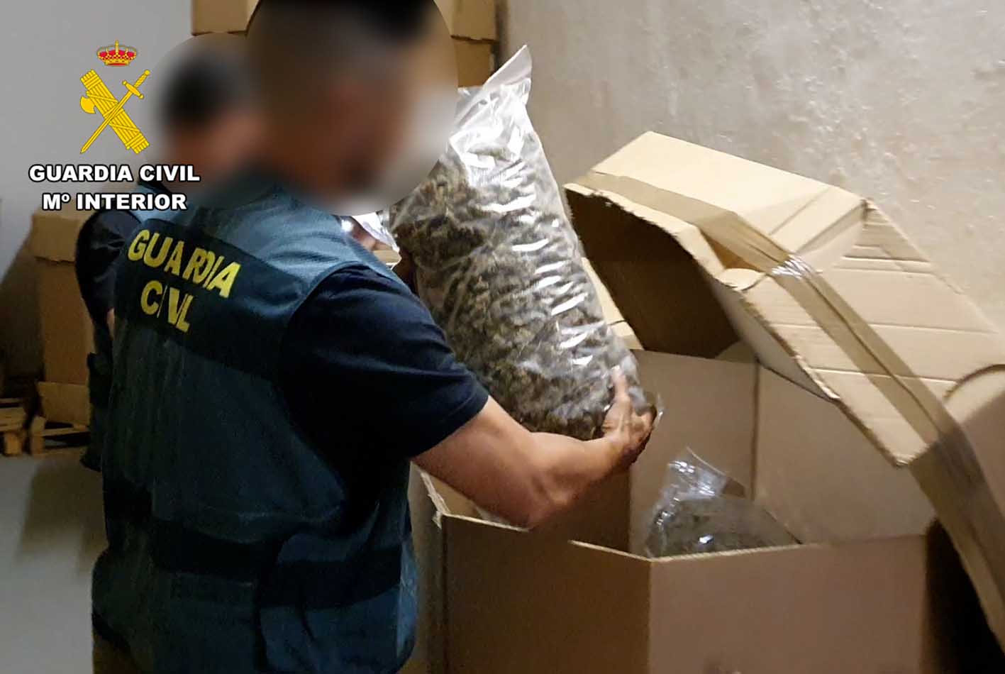 Un agente de la Guardia Civil, con parte de la marihuana incautada.