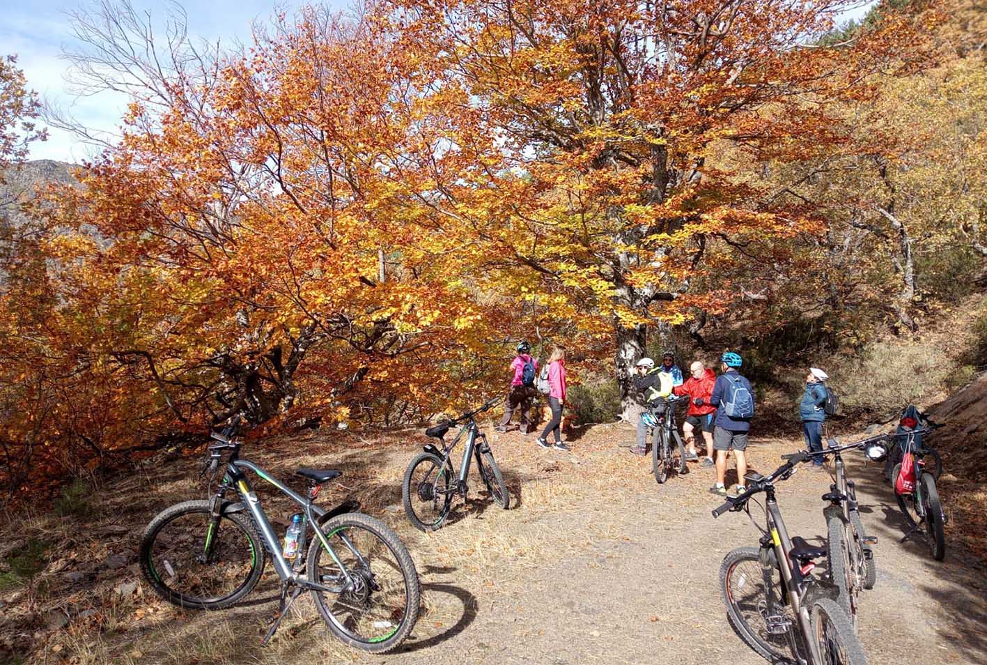 Propuestas para disfrutar de la naturaleza en CLM