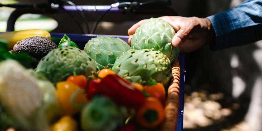 cesta de la compra, alimentos, tienda, precios