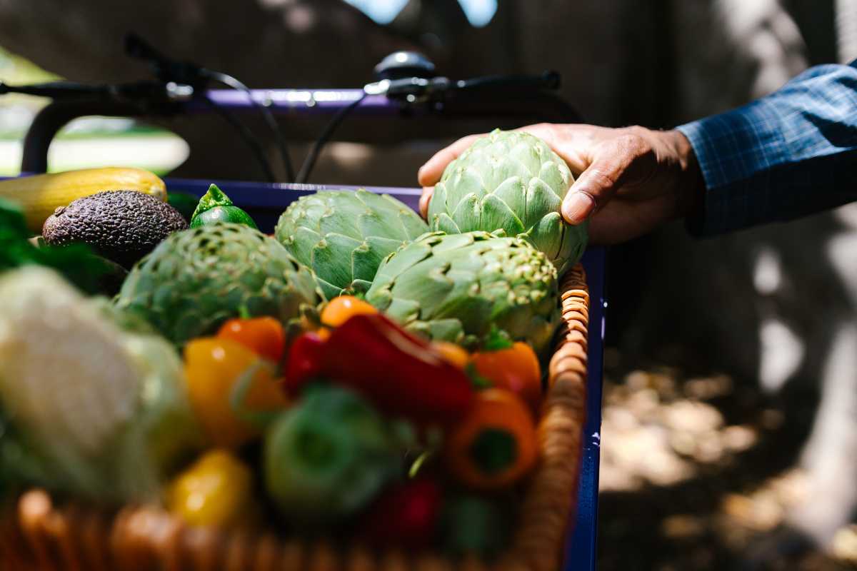 cesta de la compra, alimentos, tienda, precios