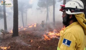 Imagen de archivo de efectivos del Infocam en unas prácticas sobre quemas prescritas.