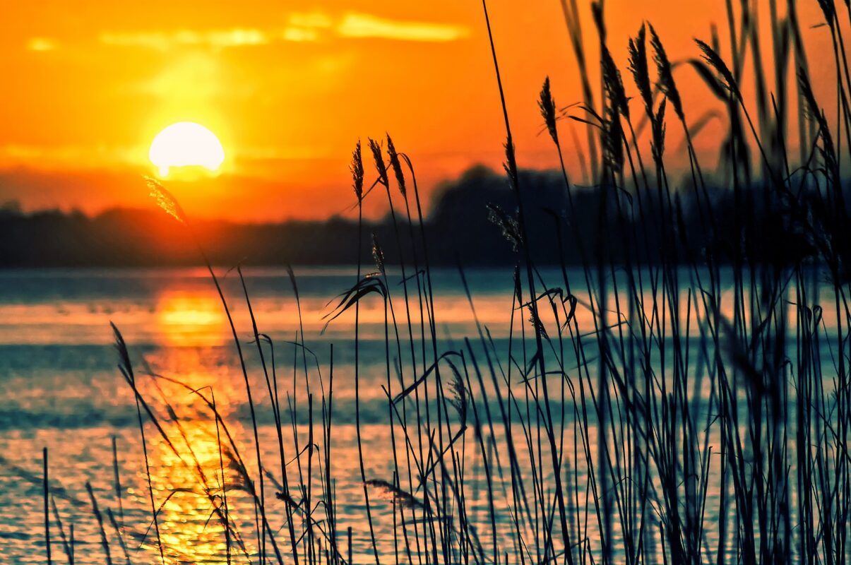 Las temperaturas seguirán siendo cálidas en noviembre.