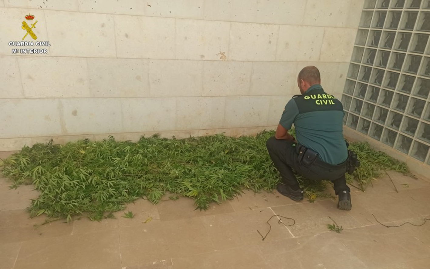 Un agente de la Guardia Civil, con parte de la marihuana incautada.