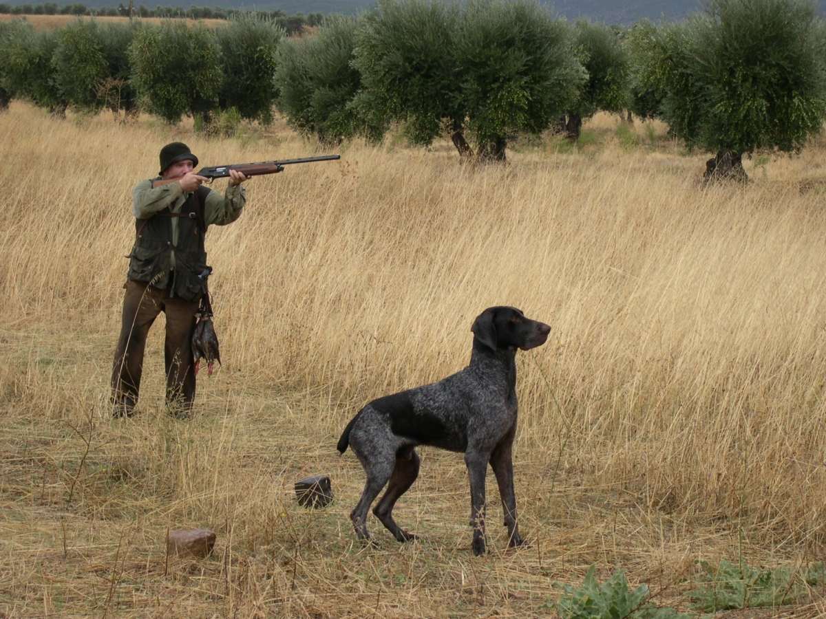 Imagen de archivo de un episodio de caza.