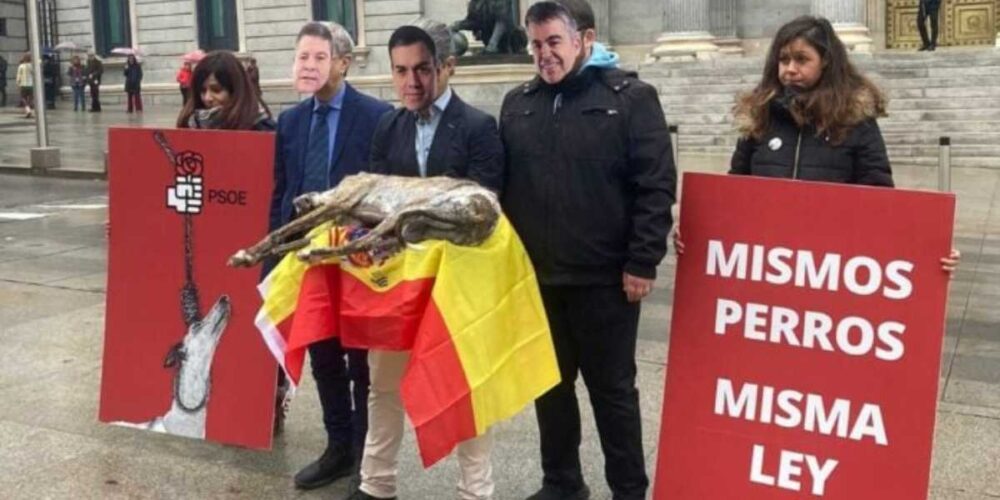 Protestas de un grupo de animalistas frente al Congreso.