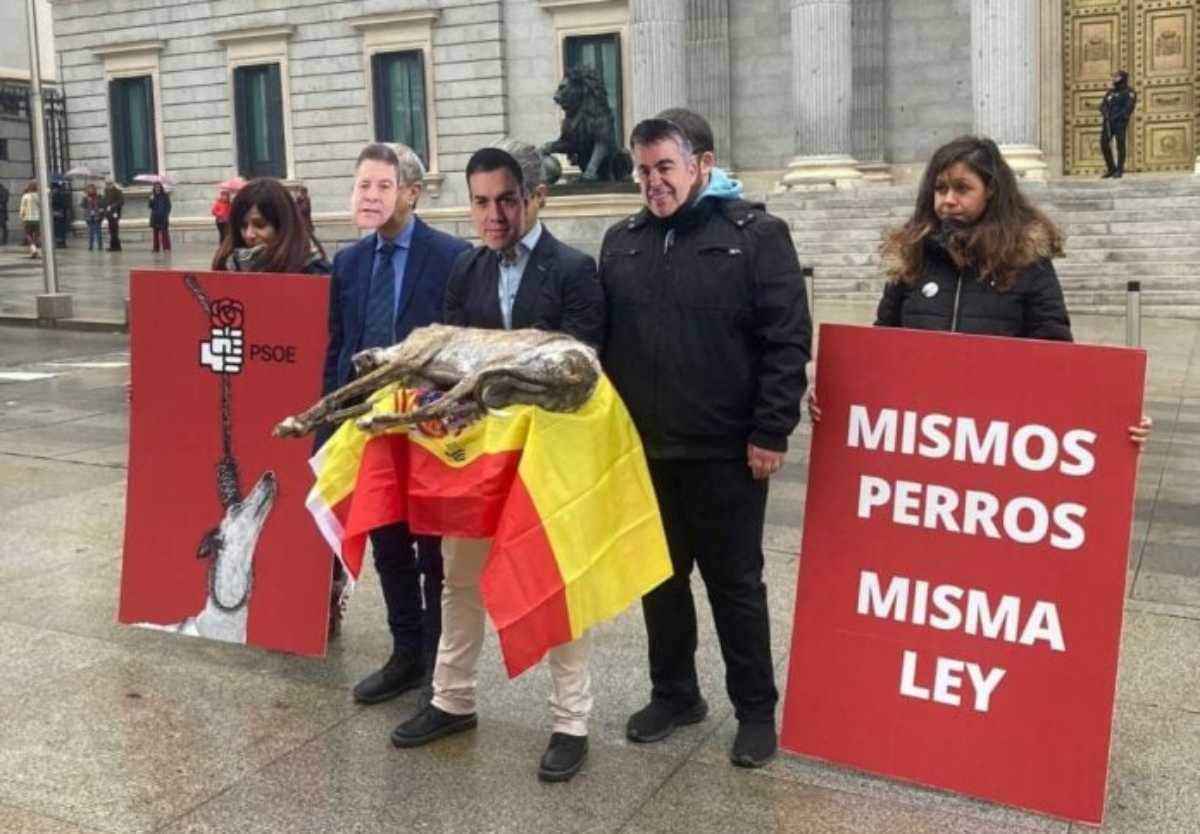 Protestas de un grupo de animalistas frente al Congreso.