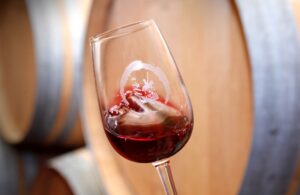 DO Mancha: el consumo del vino está garantizado con los jóvenes. Foto: DO Mancha.