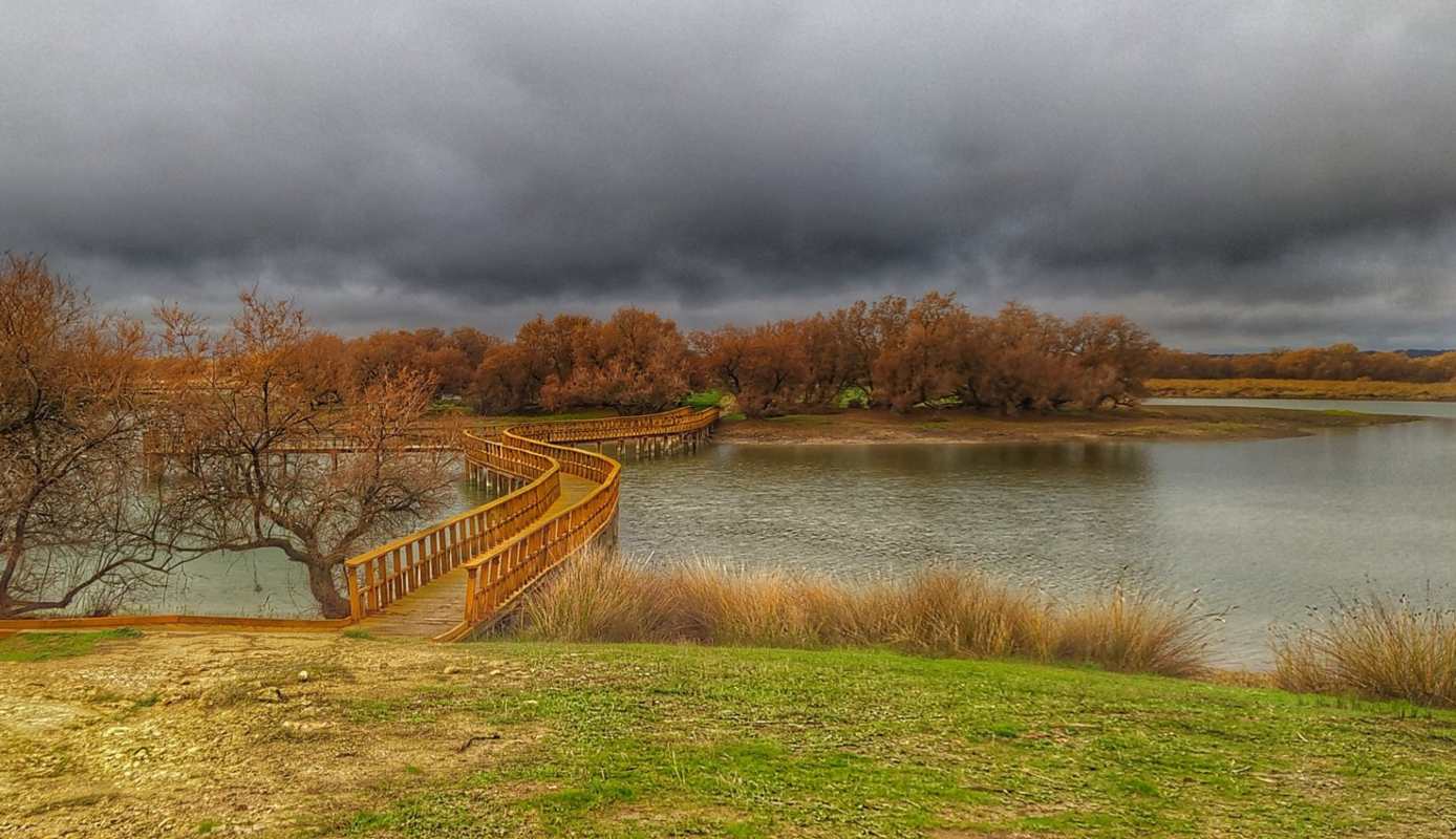 Bella estampa de las Tablas de Daimiel tomada ayer sábado. Foto: @video2paco.