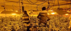 Policía Nacional Operación "Tajuña y Vino"
