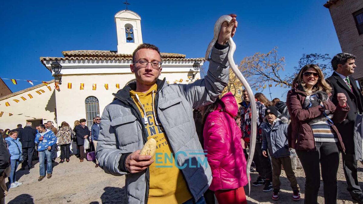 Tradicional bendición de los animales en San Antón, en Toledo