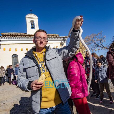 Tradicional bendición de los animales en San Antón, en Toledo