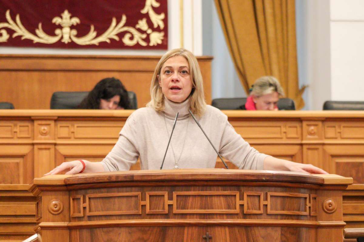 Carmen Picazo, durante su intervención en las Cortes.