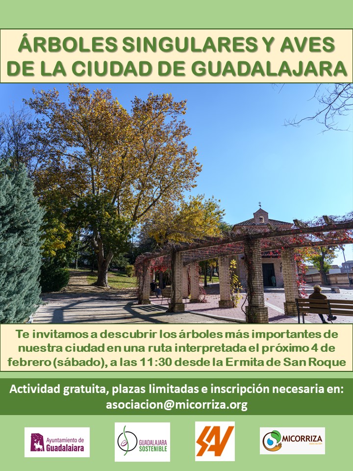 Cartel de la ruta de árboles y aves singulares de Guadalajara
