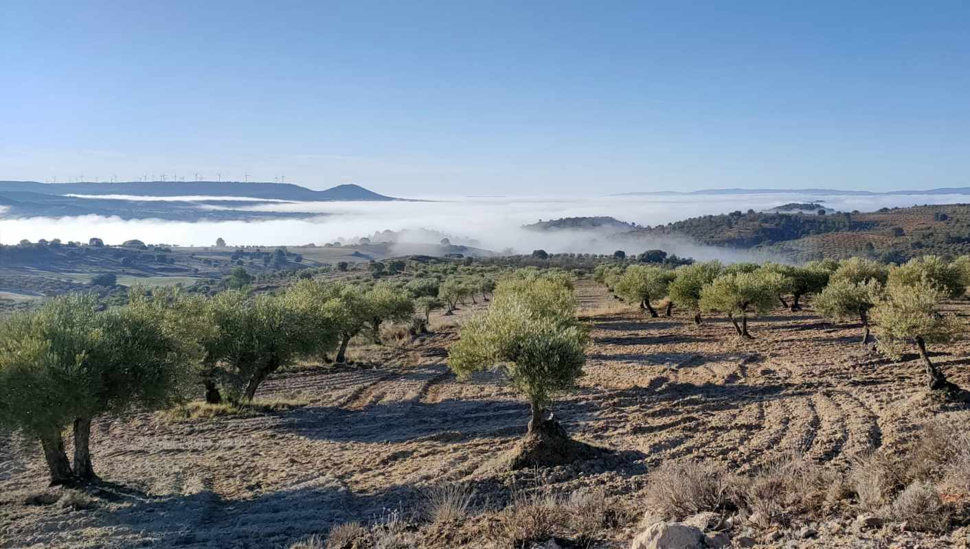 niebla-clm-tiempo-cuenca