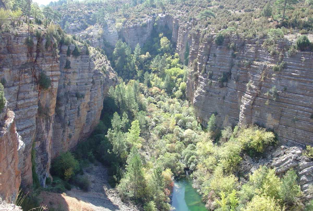 serrania-cuenca-bosque-forestal