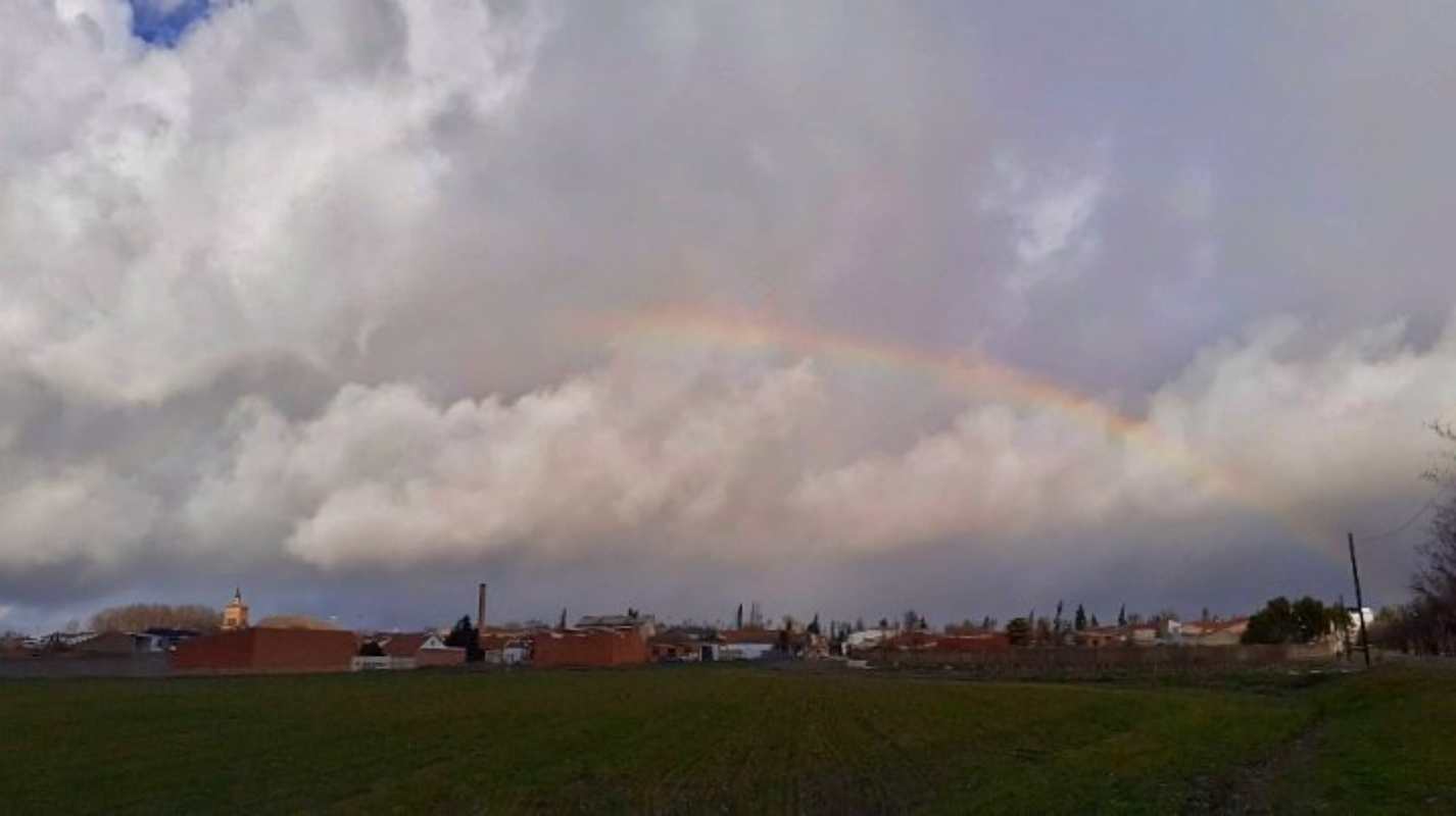 Argamasilla de Alba, el pasado 17 de enero. Foto: @Biofilia.