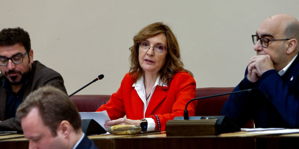 La concejala de Recursos Humanos del Ayuntamiento de Albacete, Mª José López, durante el Pleno Extraordinario. EFE/ Manu.