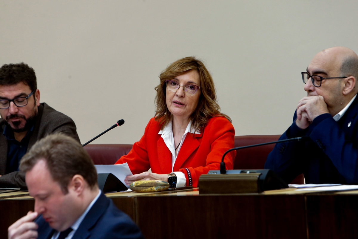 La concejala de Recursos Humanos del Ayuntamiento de Albacete, Mª José López, durante el Pleno Extraordinario. EFE/ Manu.