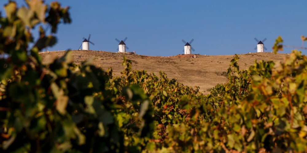 Viñedos en Castilla-La Mancha.