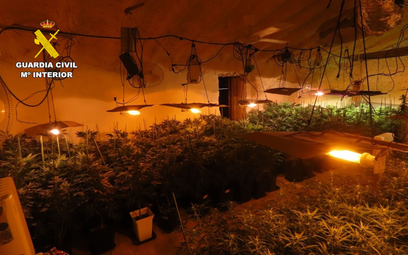 Plantación de marihuana indoor localizada en Isso, una pedanía de Hellín (Albacete).