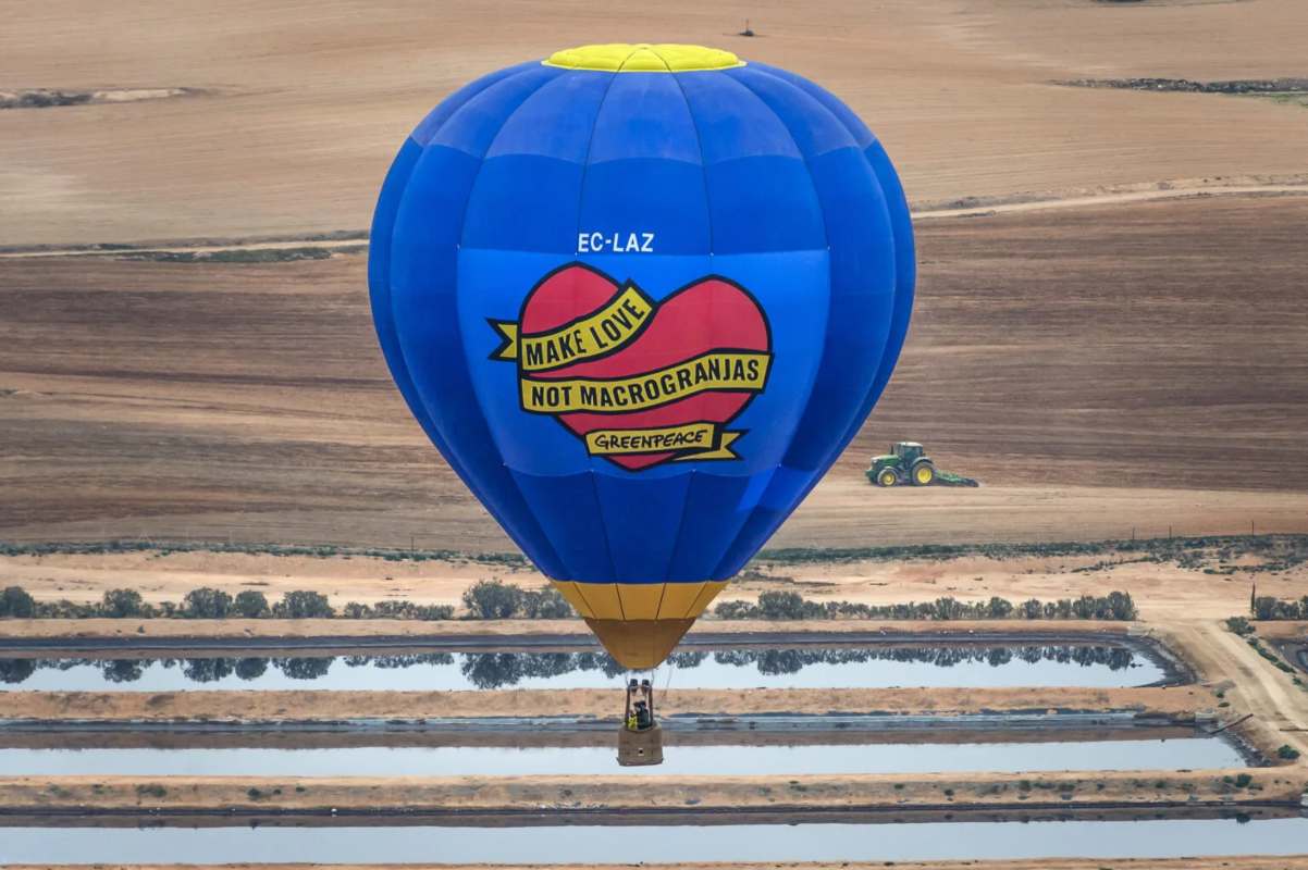 globo-greenpeace-macrogranjas