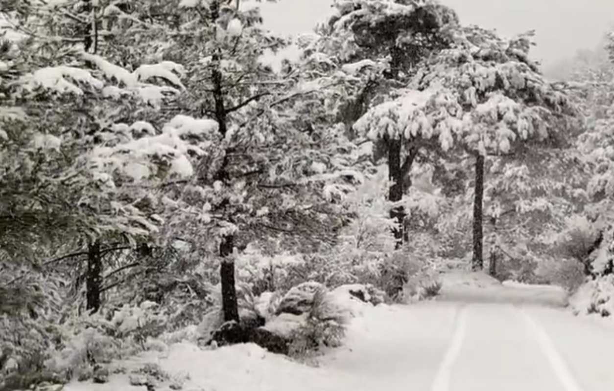 Nevada en la Sierra del Segura.