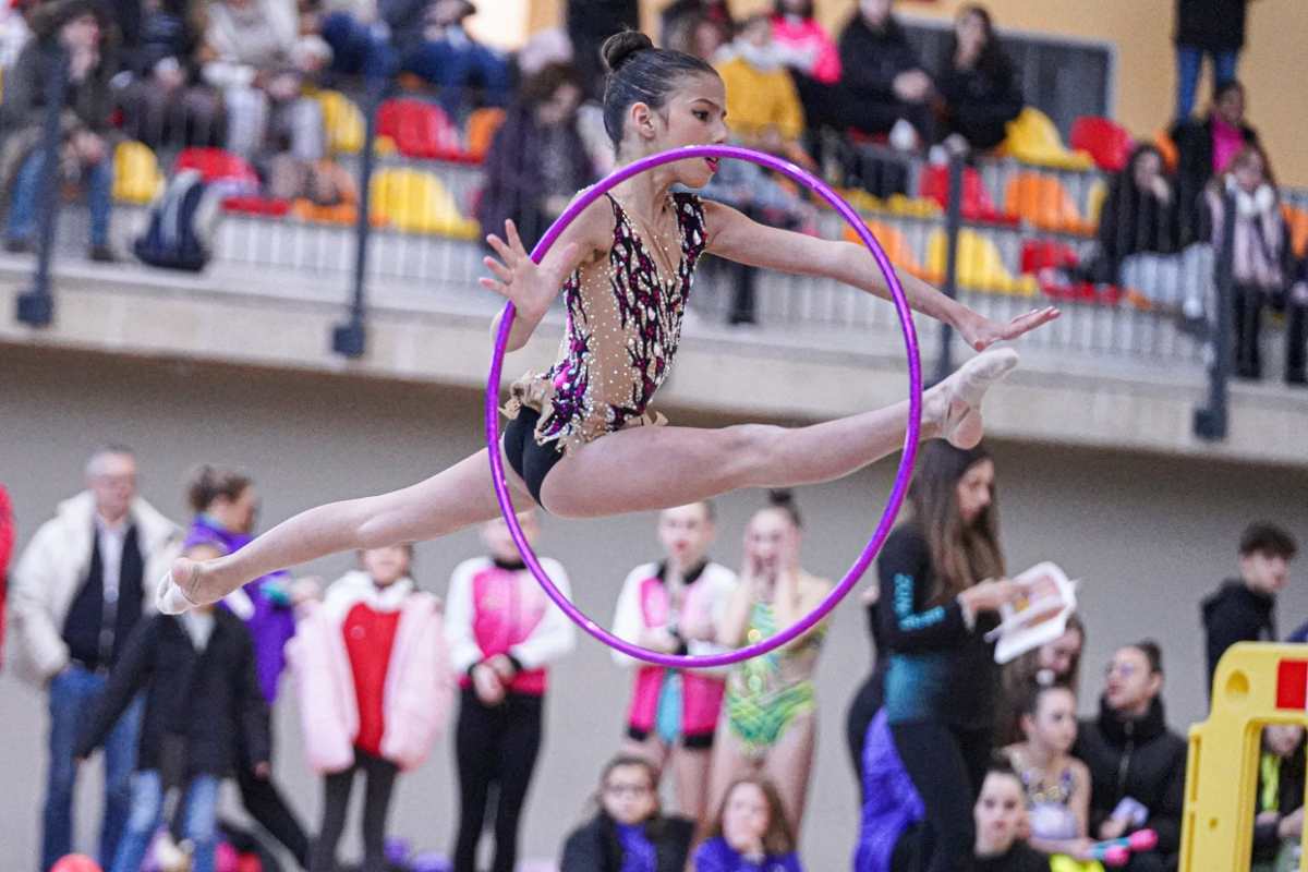 Buen nivel de la gimnasia artística regional.