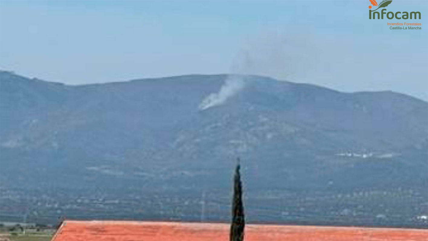 Imagen del Infocam del incendio en El Real de San Vicente.