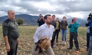 José Luis Escudero, soltando un macho joven de águila imperial ibérica.