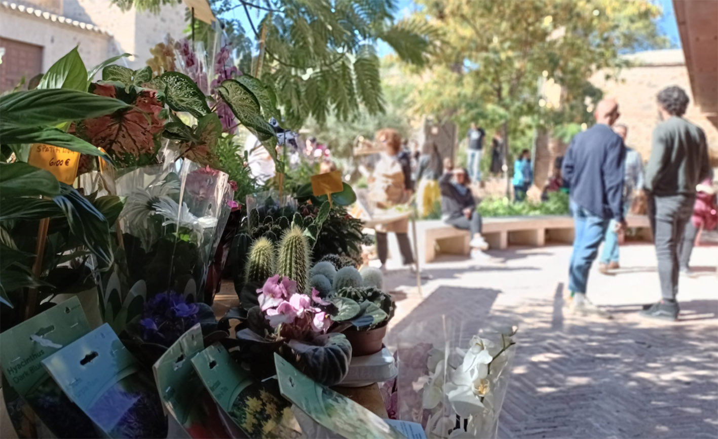 Mercado de Flores, en el jardín de San Lucas.