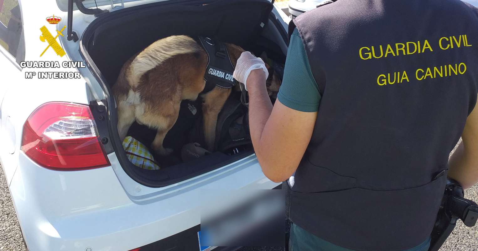 Momento en el que el perro "Rayo" descubrió el hachís en un coche en el término de Villarrobledo.