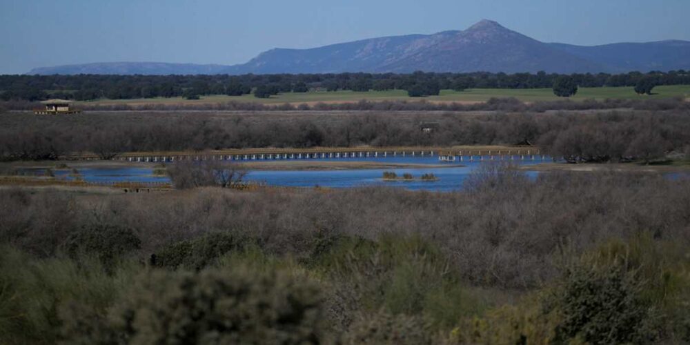 Tablas de Daimiel. Foto: EFE/Jesús Monroy.