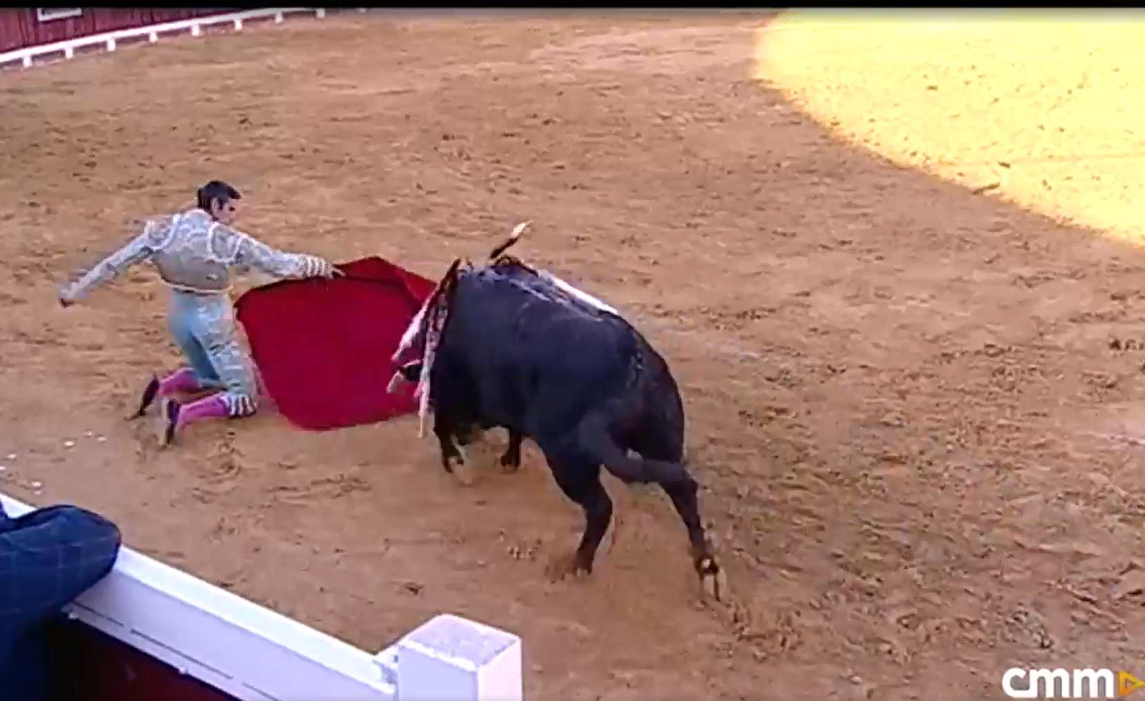 Toros en Castilla-La Mancha.