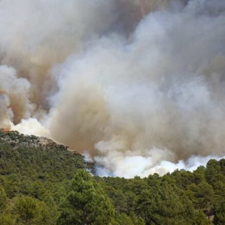 Declarado un incendio en el Alto Tajo, en Toledo.