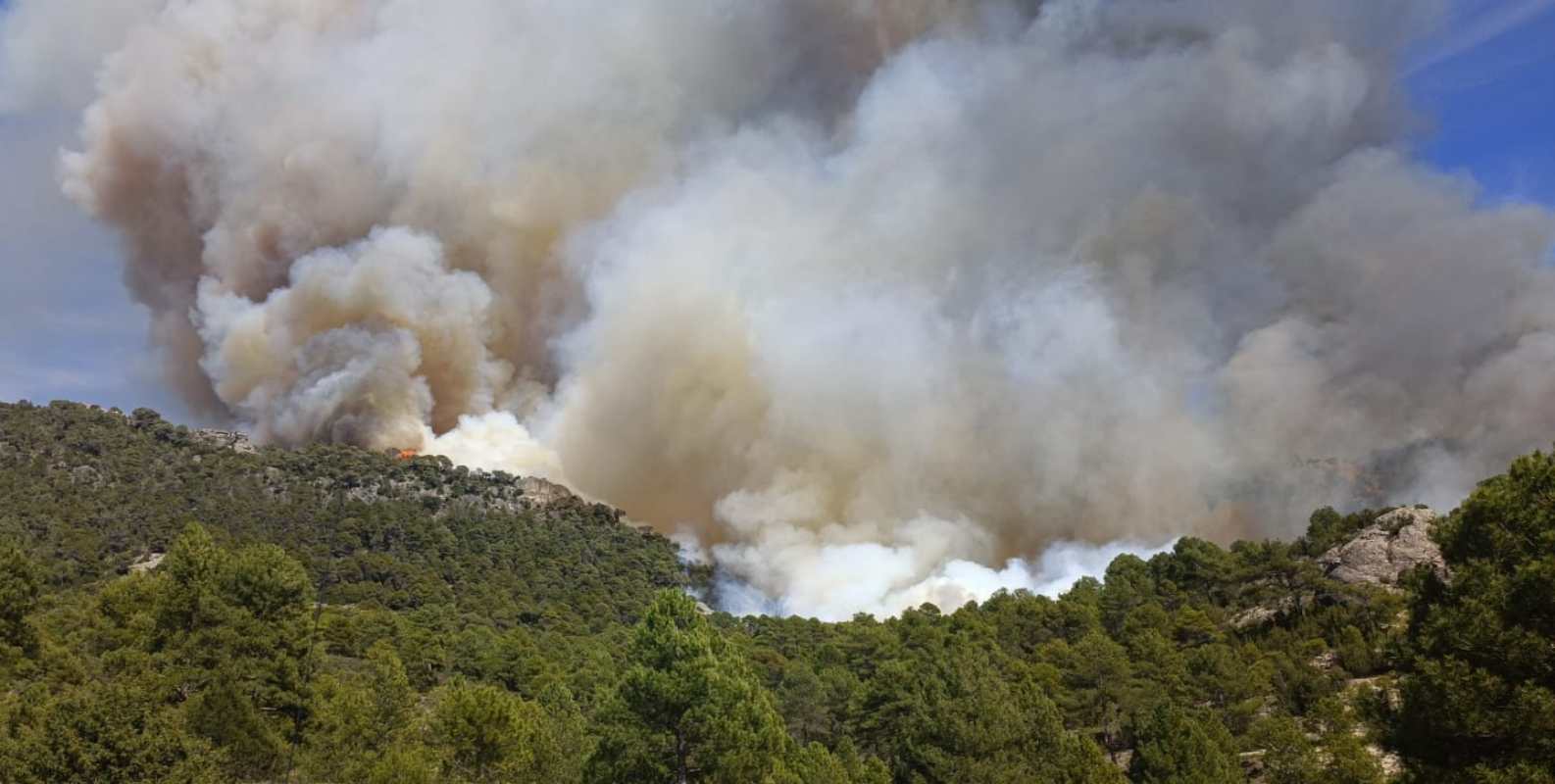 Declarado un incendio en el Alto Tajo, en Toledo.