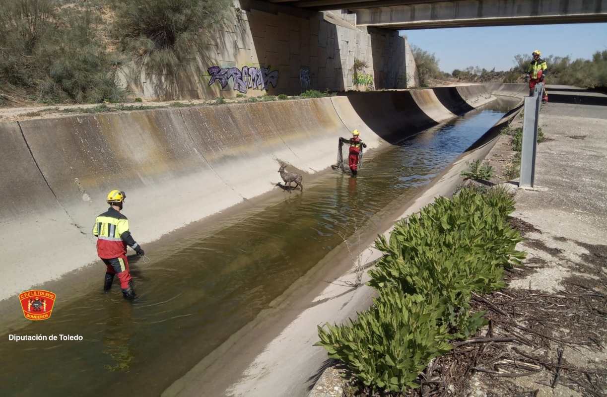 El rescate se producía en el canal, a la altura de AP 41, en Olías del Rey. Foto: Diputación de Toledo.