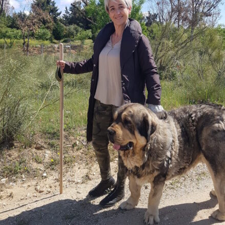 "De paseo por el cerro de los Palos, en Toledo, con Ion, mi mastín que, desgraciadamente, ya no está con nosotros. Le recordamos todos los días, un animal precioso, leal y excelente guardián".