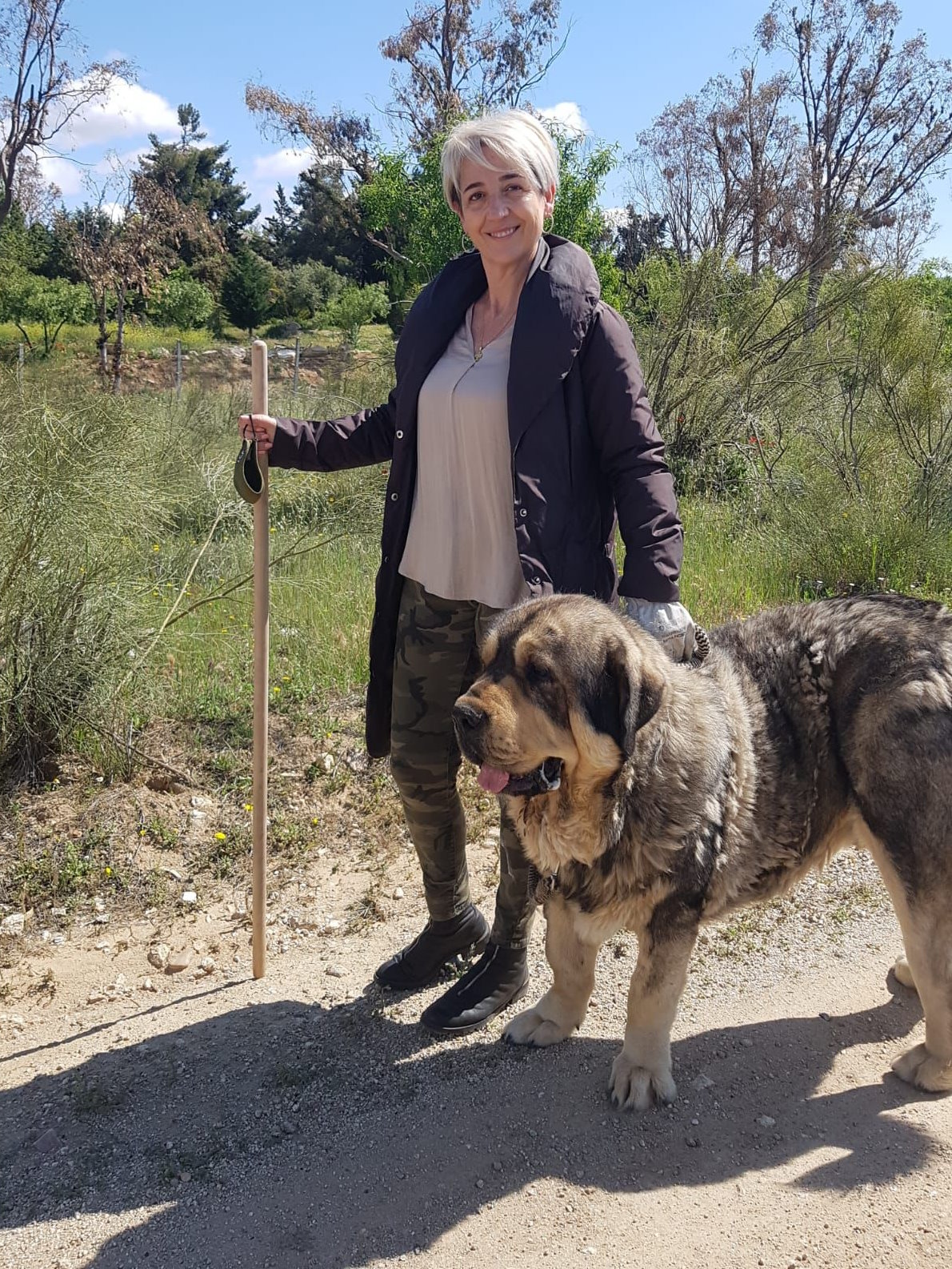 "De paseo por el cerro de los Palos, en Toledo, con Ion, mi mastín que, desgraciadamente, ya no está con nosotros. Le recordamos todos los días, un animal precioso, leal y excelente guardián".