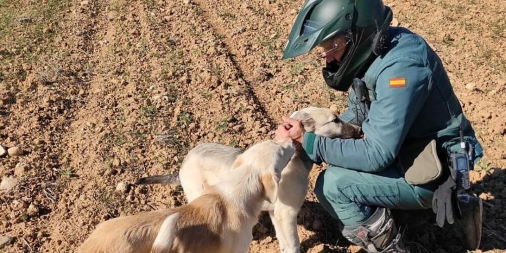 SEPRONA Guardia Civil