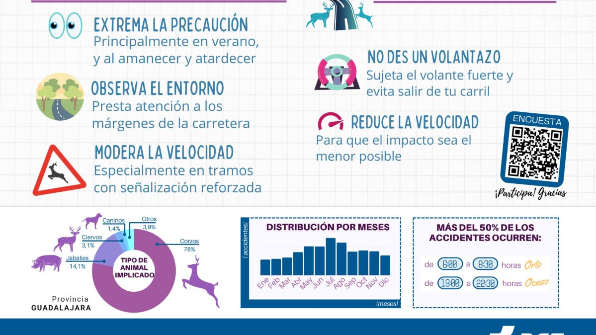 Campaña informativa  de tráfico en Guadalajara