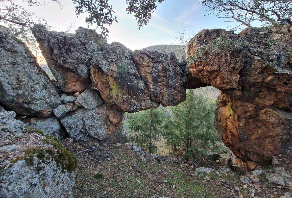 La Consejería quiere concienciar a todos, y sobre todo, a los jóvenes. aprovechando el Día del Medio Ambiente.