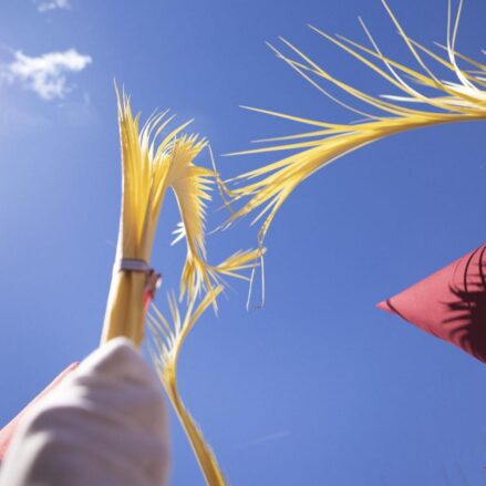 Palmas al Cielo (Sara Moya de Lerma), Premio Accésit "La Red Creativa".