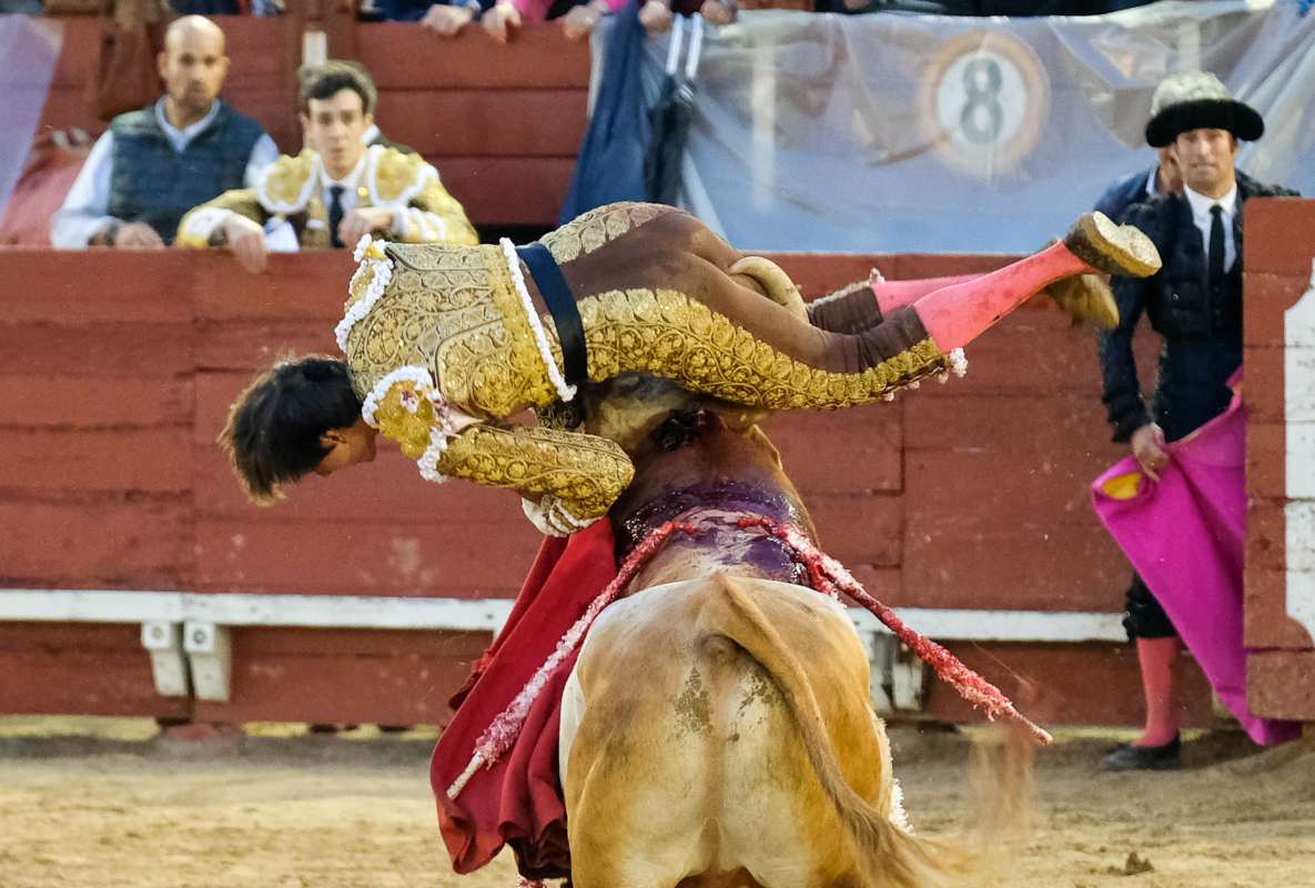 Momento de la cogida de Andrés Roca Rey en su segundo toro en Toledo. Foto: Lozano/Teseo Comunicación.