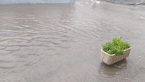 Aspecto parcial de Villarrubia de los Ojos tras la tormenta. Foto: @Dansus_Rida.