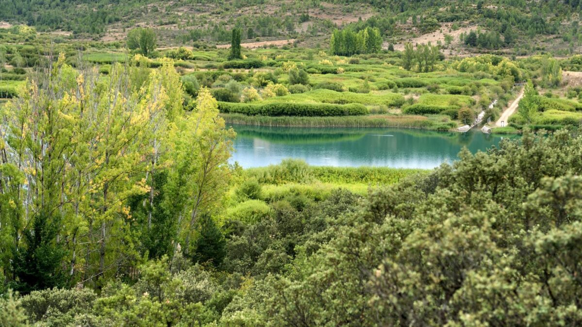 Lagunas de El Tobar. © Turismo de Castilla-La Mancha | David Blázquez.