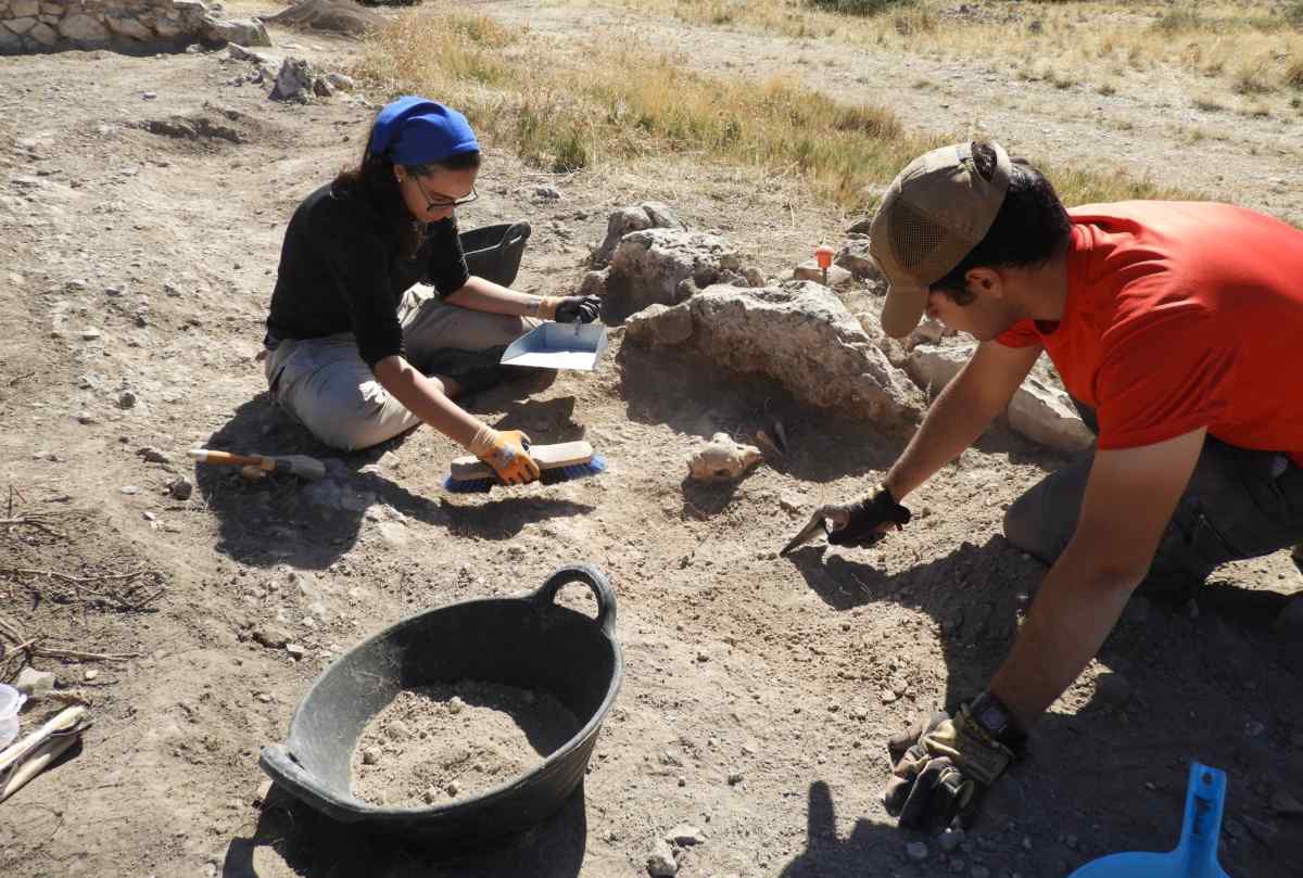 Los restos de la oveja hallados en la Alquería de La Graja, en Higueruela (Albacete).