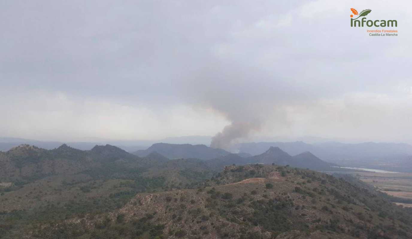 Incendio forestal en Cancarix (Albacete).
