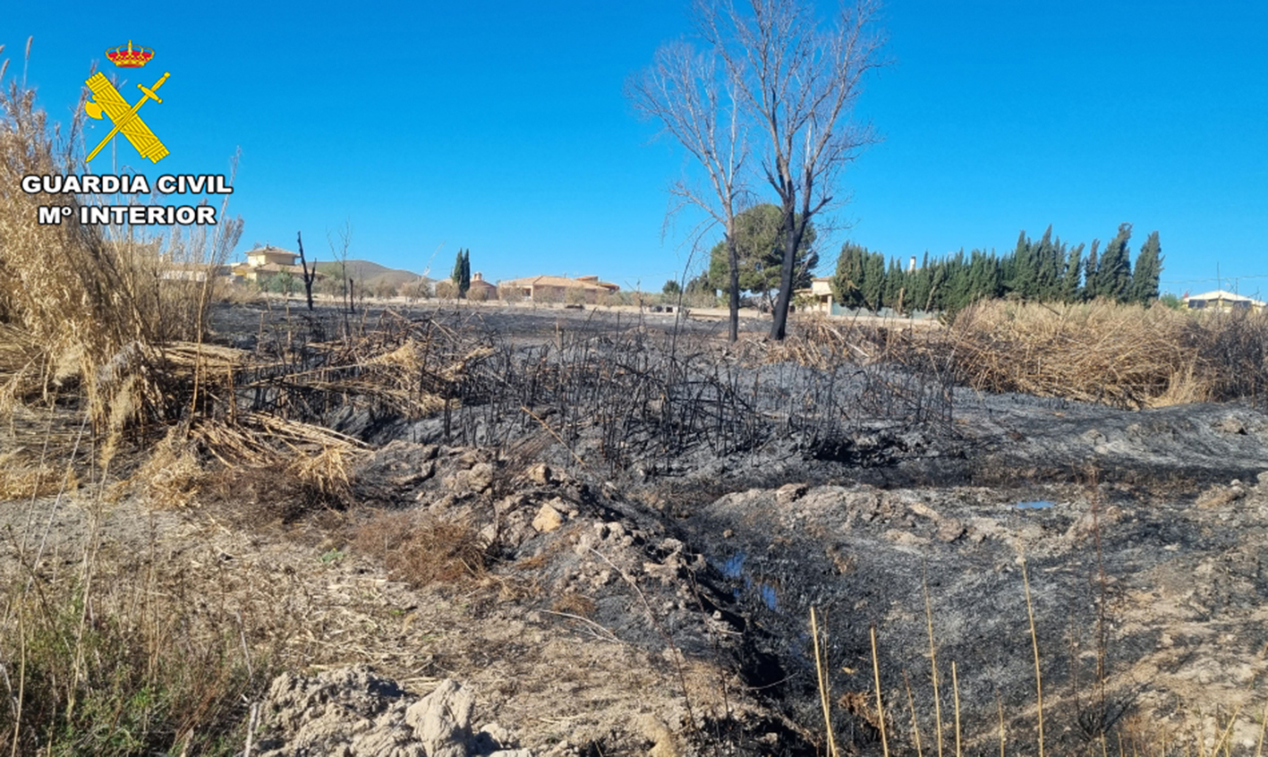 El incendio forestal ocurrió en marzo.