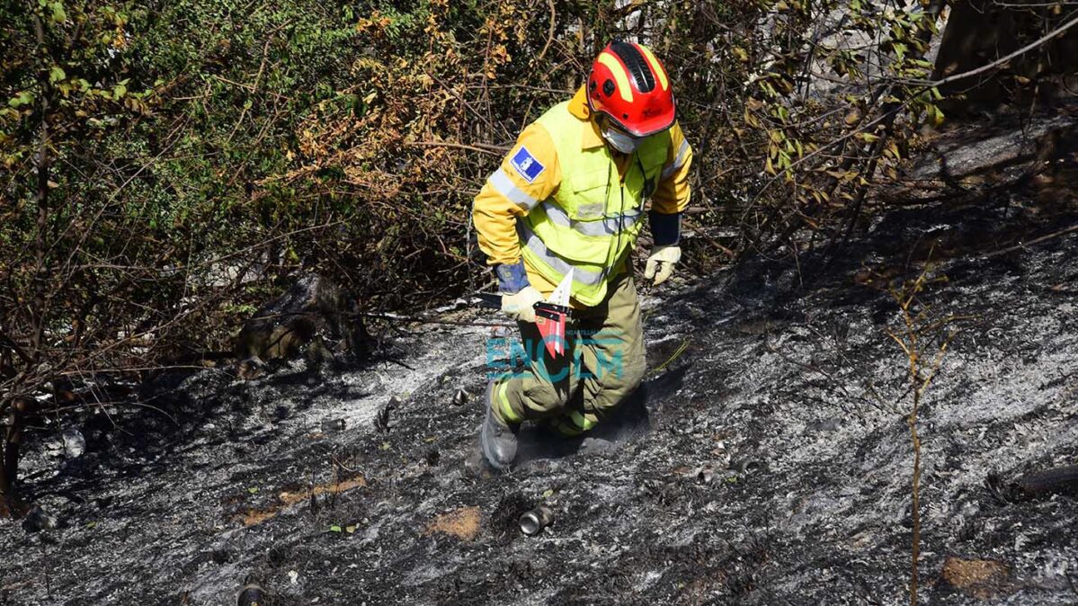 incencio forestal