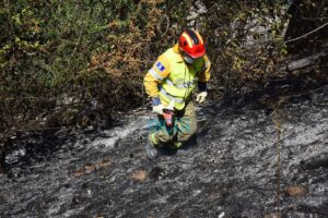 incencio forestal